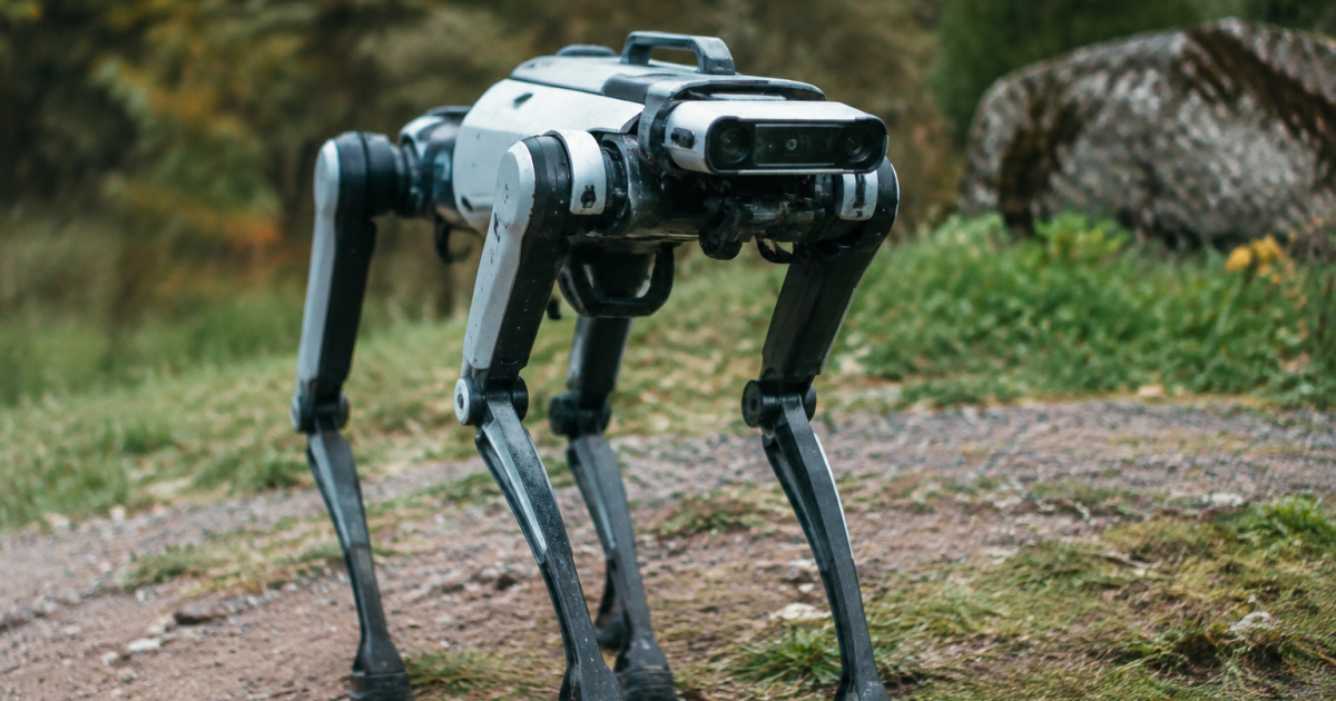 Creature artificielle sur quatre pattes raides avec capteurs frontaux