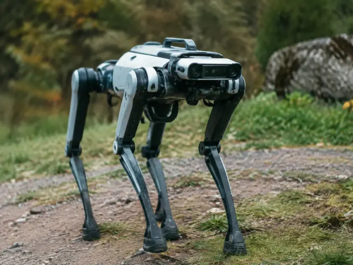 Chien robot : les différents types, fonctionnalités et comment choisir