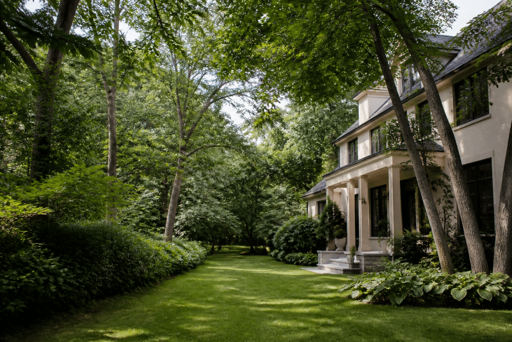 Maisons residentielles entourees d'arbres verts et espaces calmes