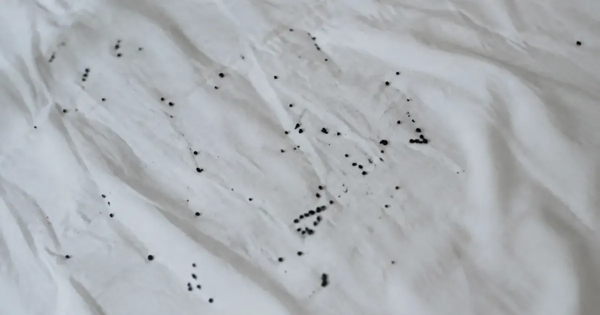 Petits grains noirs sur un drap blanc
